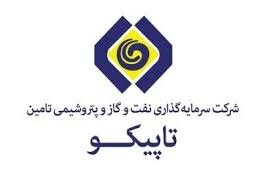 بررسی نموداری وچشم انداز سهم تاپیکو