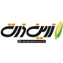 چند نفر در عرضه اولیه ذرت شرکت کردند؟